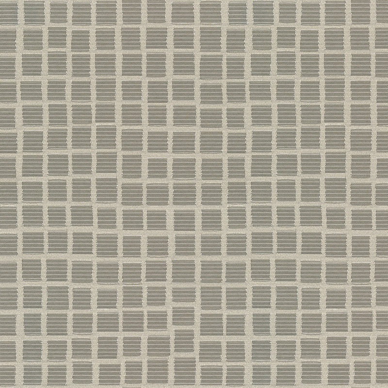 Home Decor Fabrics - Crypton Syndicate 91 Platinum