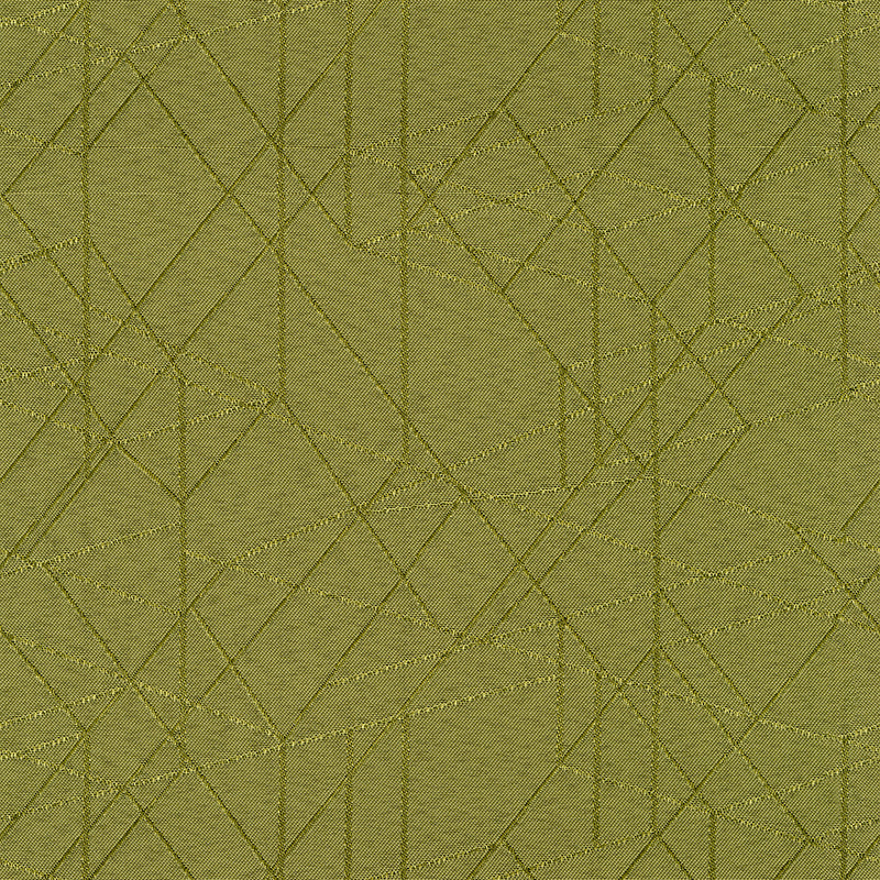 Home Decor Fabrics - Crypton Rendition 205 Limelight