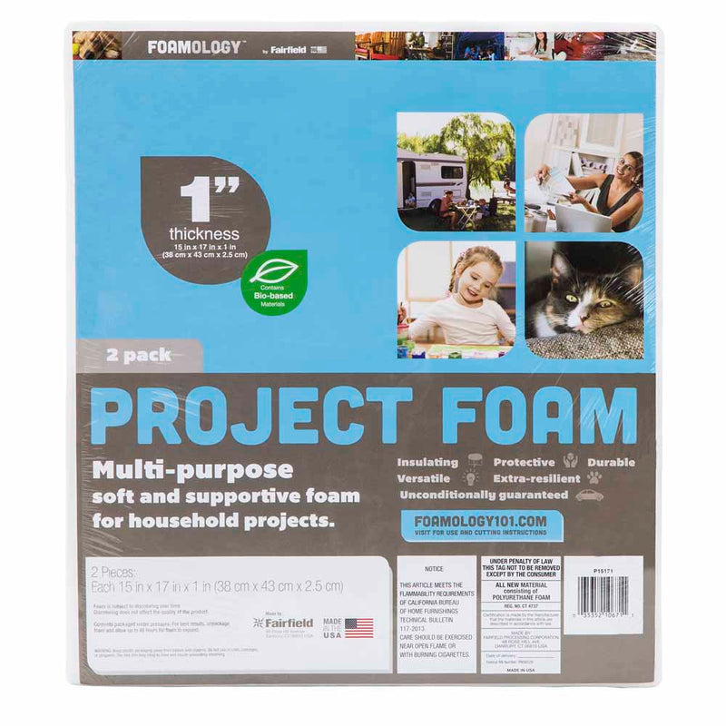 FAIRFIELD Foamology™ Project Foam 2 pc
