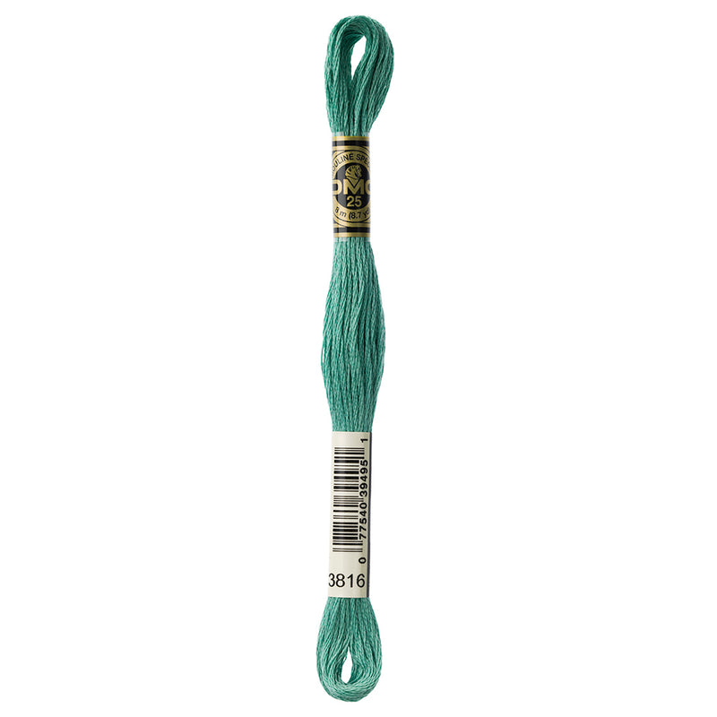 DMC #117 - Six Strand Embroidery Floss -  3816