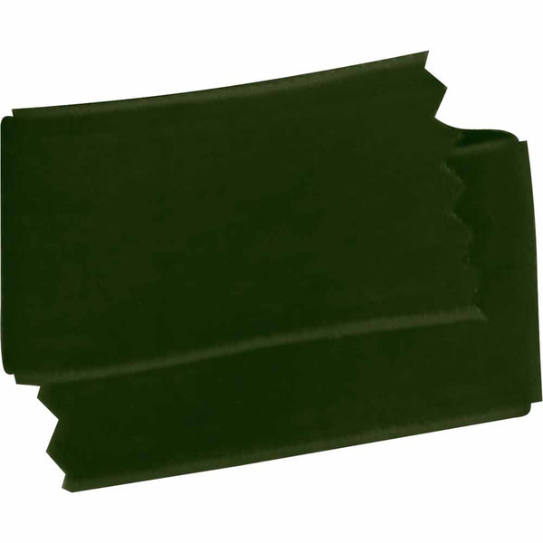 ELAN Velvet Ribbon 25mm x 2m - Green
