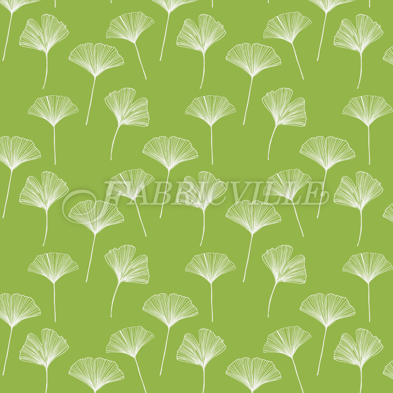 Feuille de Ginkgo