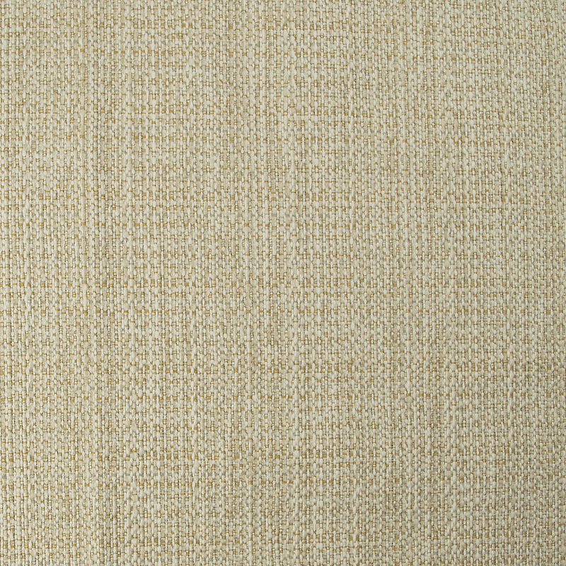 Home Decor Fabric - Alendel - Forsyth Falcon