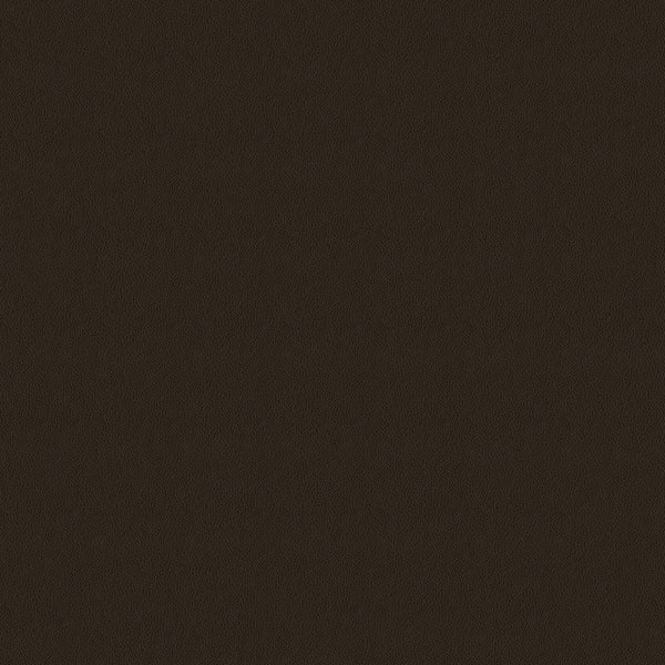 Home Decor Fabric - Vision - Amarillo Leather Look Java