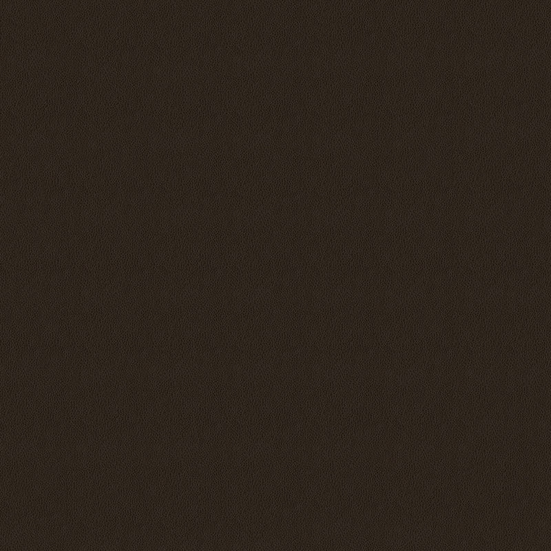 Home Decor Fabric - Vision - Amarillo Leather Look Java