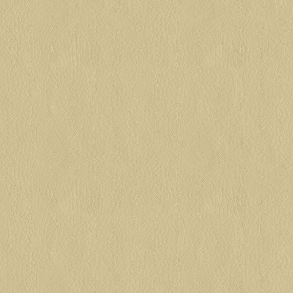 9 x 9 inch Home Decor Fabric Swatch - Vision - Austin Leather Look Cream