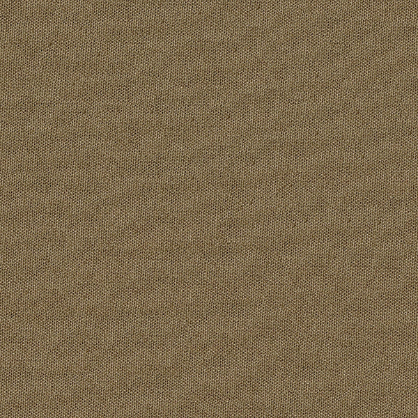 Home Decor Fabric - Vision - Journey Cinnamon Brown