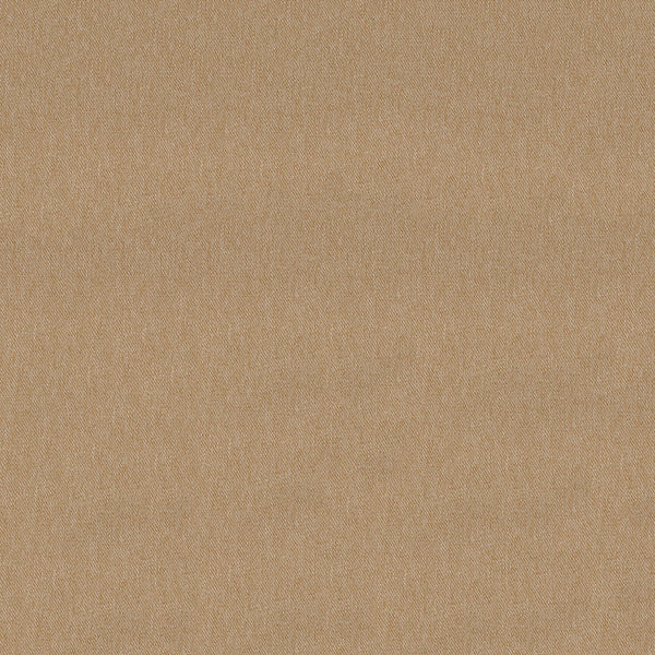 Home Decor Fabric - Vision - Journey Buff