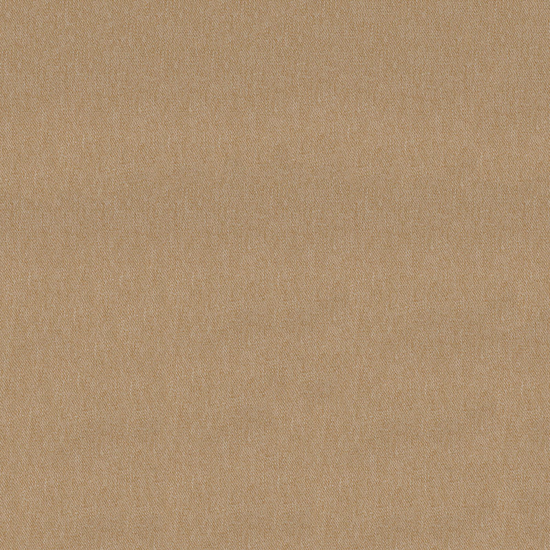 Home Decor Fabric - Vision - Journey Buff