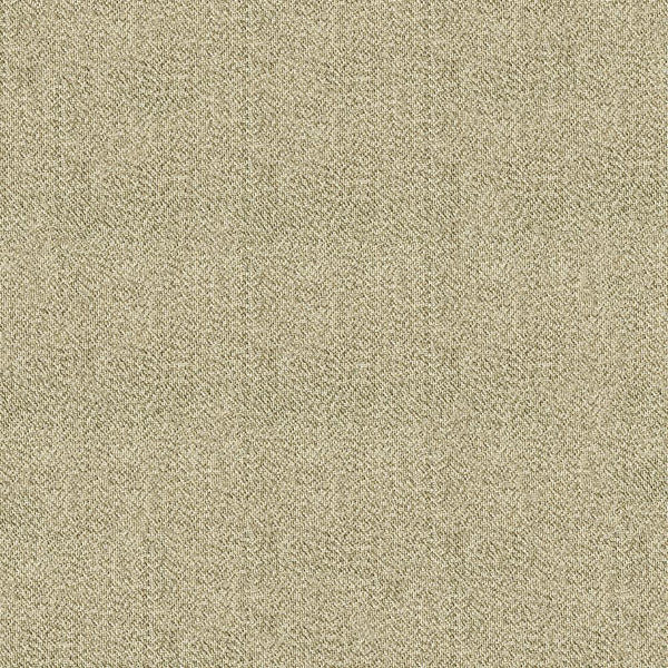 9 x 9 inch Home Decor Fabric Swatch - Vision - Amour Beige