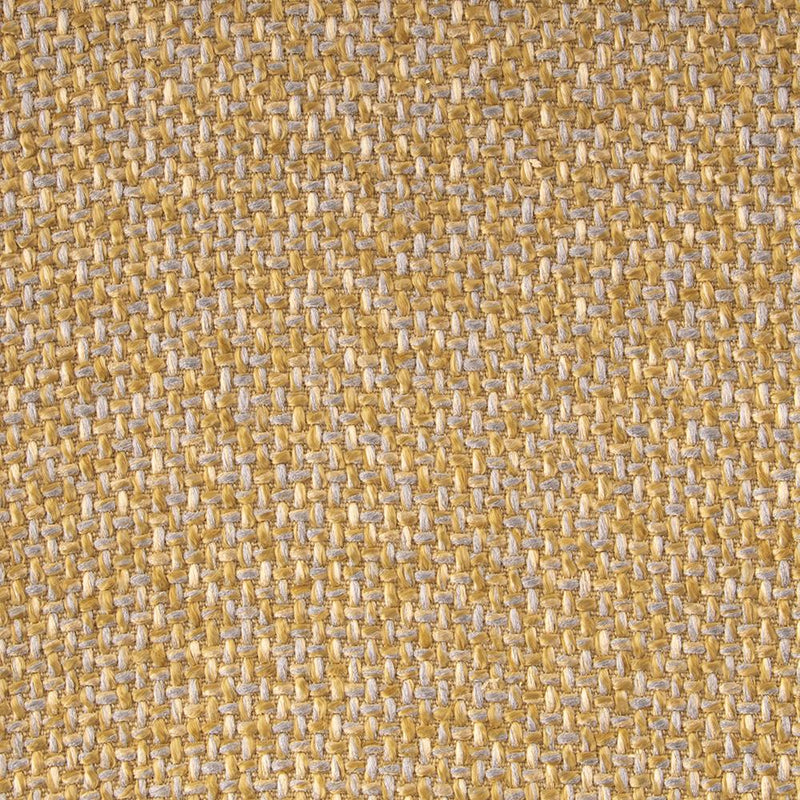 9 x 9 inch Home Decor Fabric Swatch - Vision - Amour Lemon
