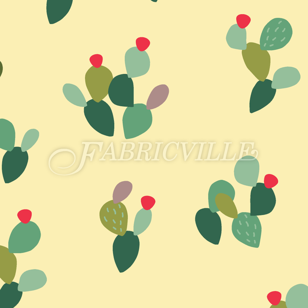 Colorful Opuntia Cactus
