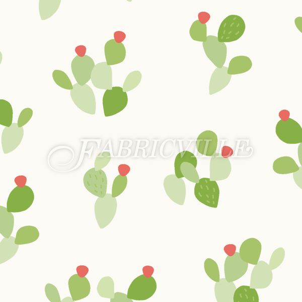 Colorful Opuntia Cactus