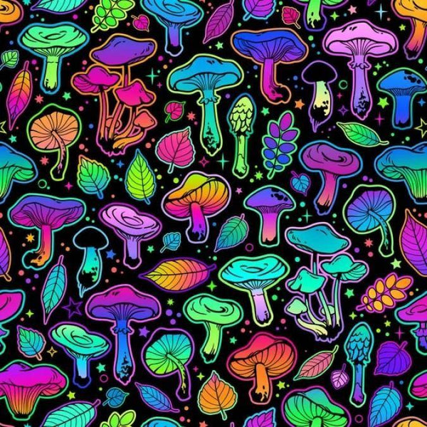 depositphotos_543030612-stock-illustration-seamless-illustration-mushrooms-bright-psychedelic Fabric Studio Uploads 1691445551-3057