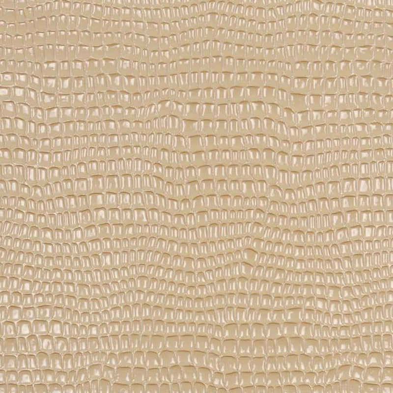9 x 9 inch Home Decor Fabric Swatch - Home Decor Fabric - Joanne - Disco_32 Beige