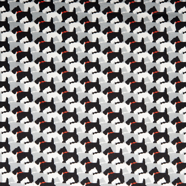 COLLECTOR'S Cotton prints - Dogs - White (10 meters)