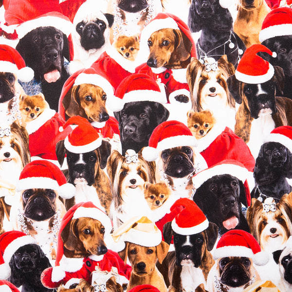 Jingle Pets Print - Dogs - Red