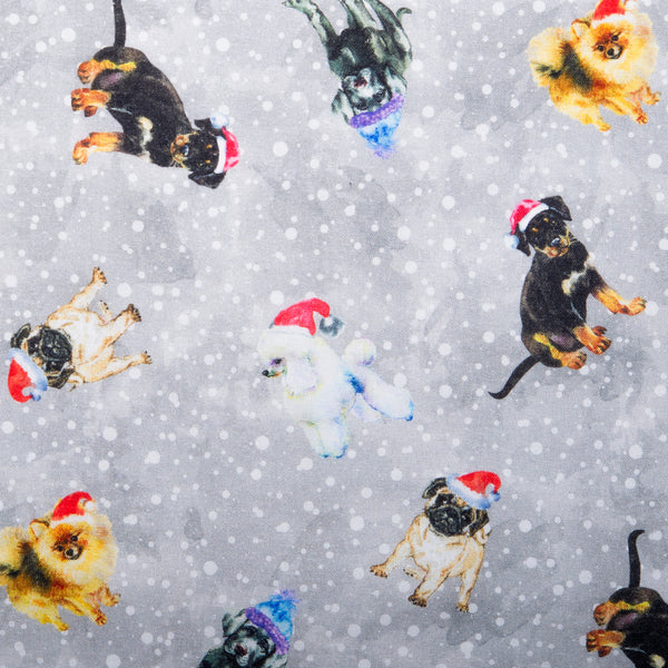 Jingle Pets Print - Dogs / Dots -  Grey
