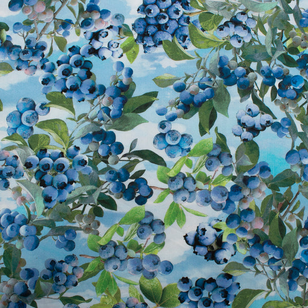 Coton imprimé - BLUEBERRY HILL - Bleuets - Bleu