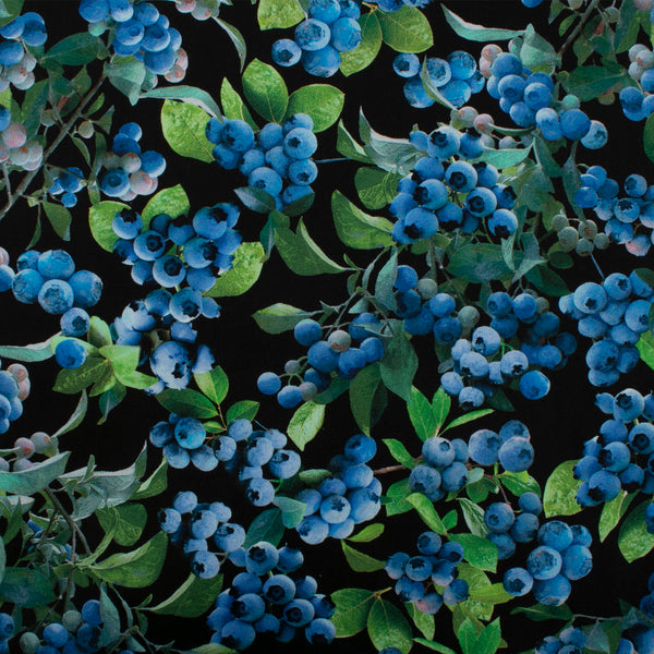 Printed cotton - BLUEBERRY HILL - Blueberry - Dark blue