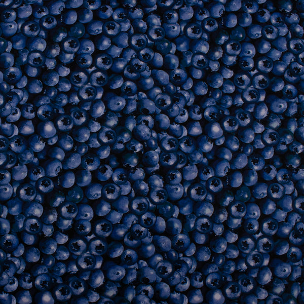 Coton imprimé - BLUEBERRY HILL - Bleuets - Noir