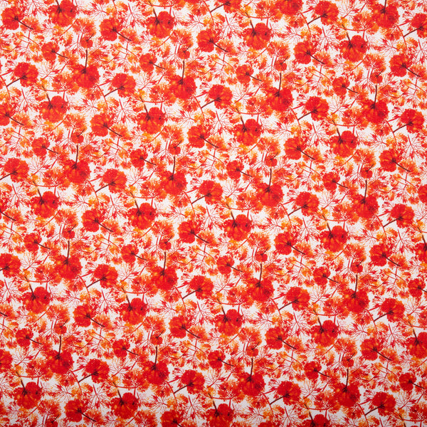 Digital Printed cotton - MEDLEY - Poppy - Red