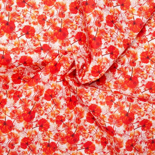 Digital Printed cotton - MEDLEY - Poppy - Red