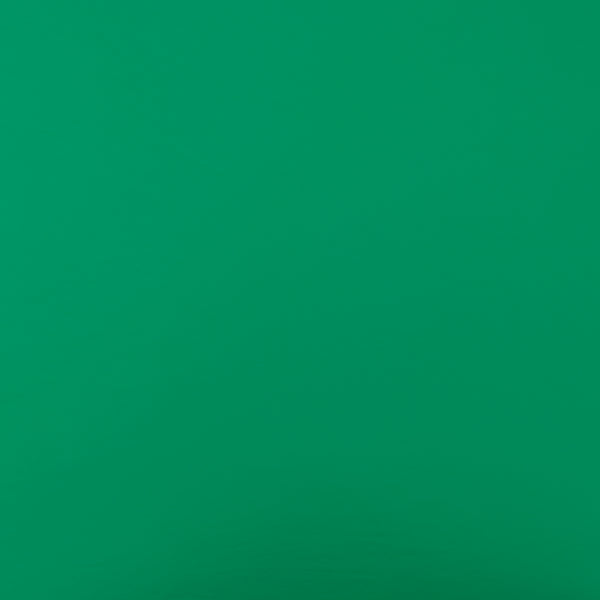 Solid rayon nylon - AVIRA - Green