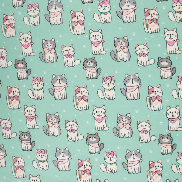 Furry friends - Cats - Mint