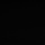 Novelty Black Knit - Rib - Black