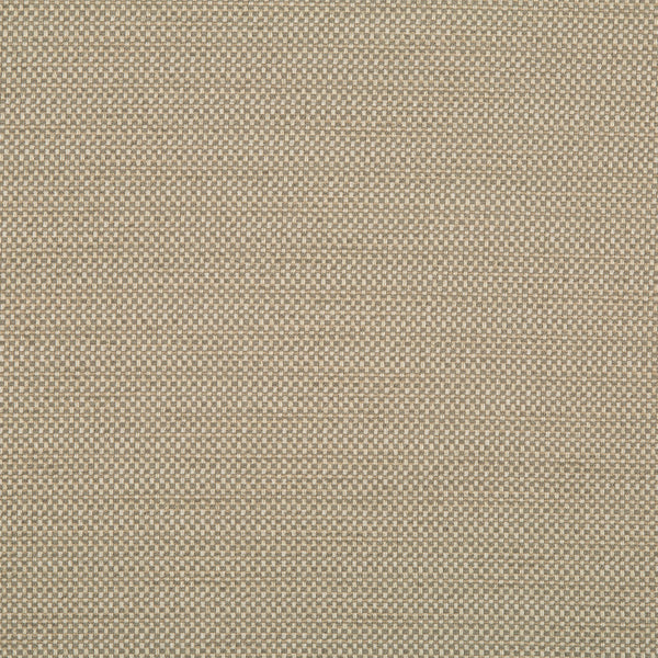 Home Decor Fabric - Robert Allen Crypton - Primotex bk Linen