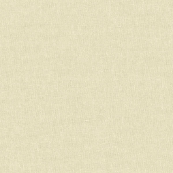 Wide Width Cotton Quilt Backing - Ivory