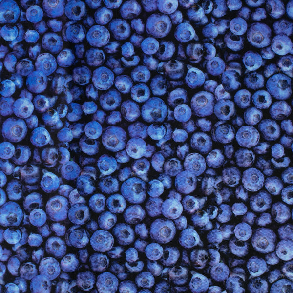 Coton imprimé RAYON DES FRUITS - Bleuets