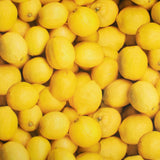 FRUIT STAND Printed Cotton - Lemons