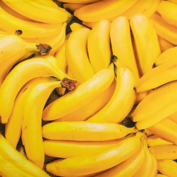 Coton imprimé RAYON DES FRUITS - Bananes
