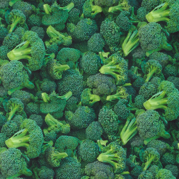 VEGETABLE GARDEN Printed Cotton - Broccoli - Green