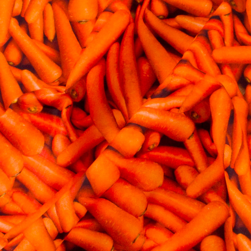 Coton imprimé JARDIN DE LÉGUMES - Carotte - Orange