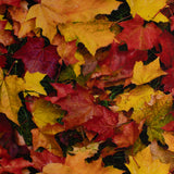 Coton imprimé - <HAPPY FALL> - Feuilles - Noir