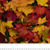 Coton imprimé - <HAPPY FALL> - Feuilles - Noir