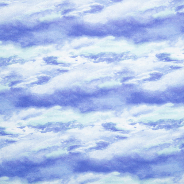 Digital Printed Cotton - NATURAL BEAUTIES - Sky - Blue