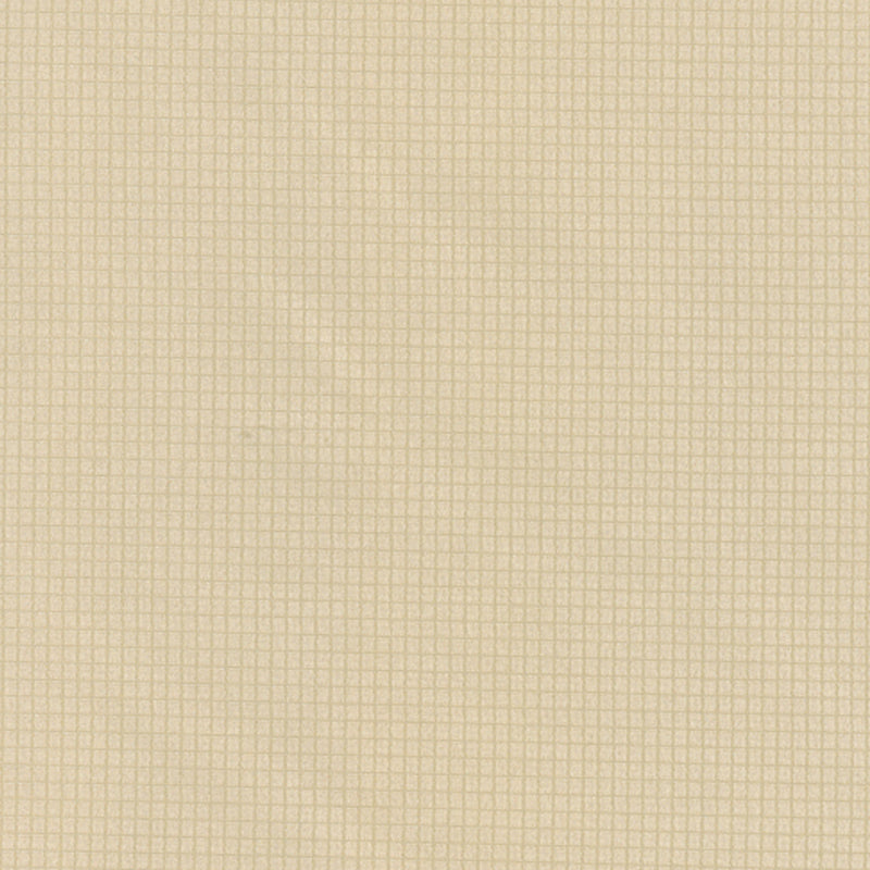 Tissu décor maison - Signature Transit 6 - beige