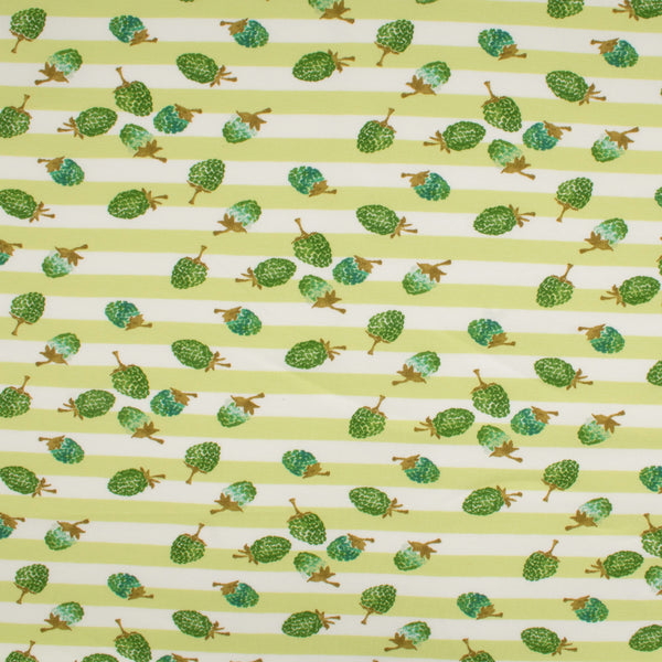Cotton Lycra Knit Print - IMA-GINE F21 - Strawberry - Green