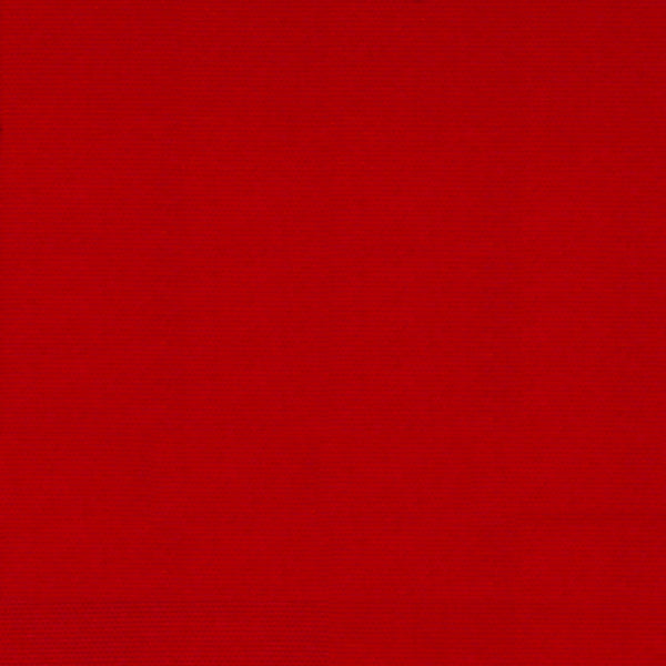 Nylon Schuss - Red