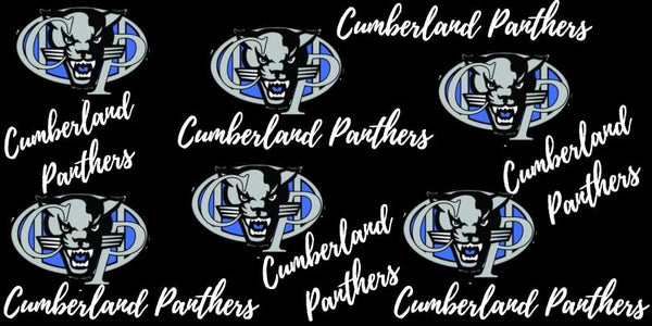 Cumberland Panthers (24 × 12 in) Fabric Studio Uploads 1692895105-3276