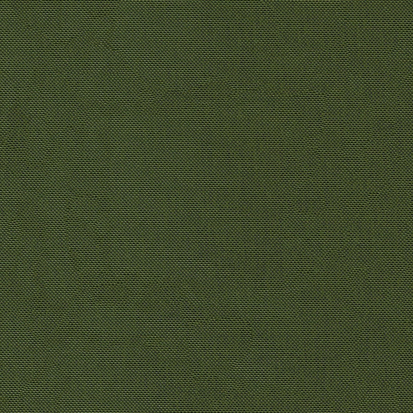 Cordura Army Green